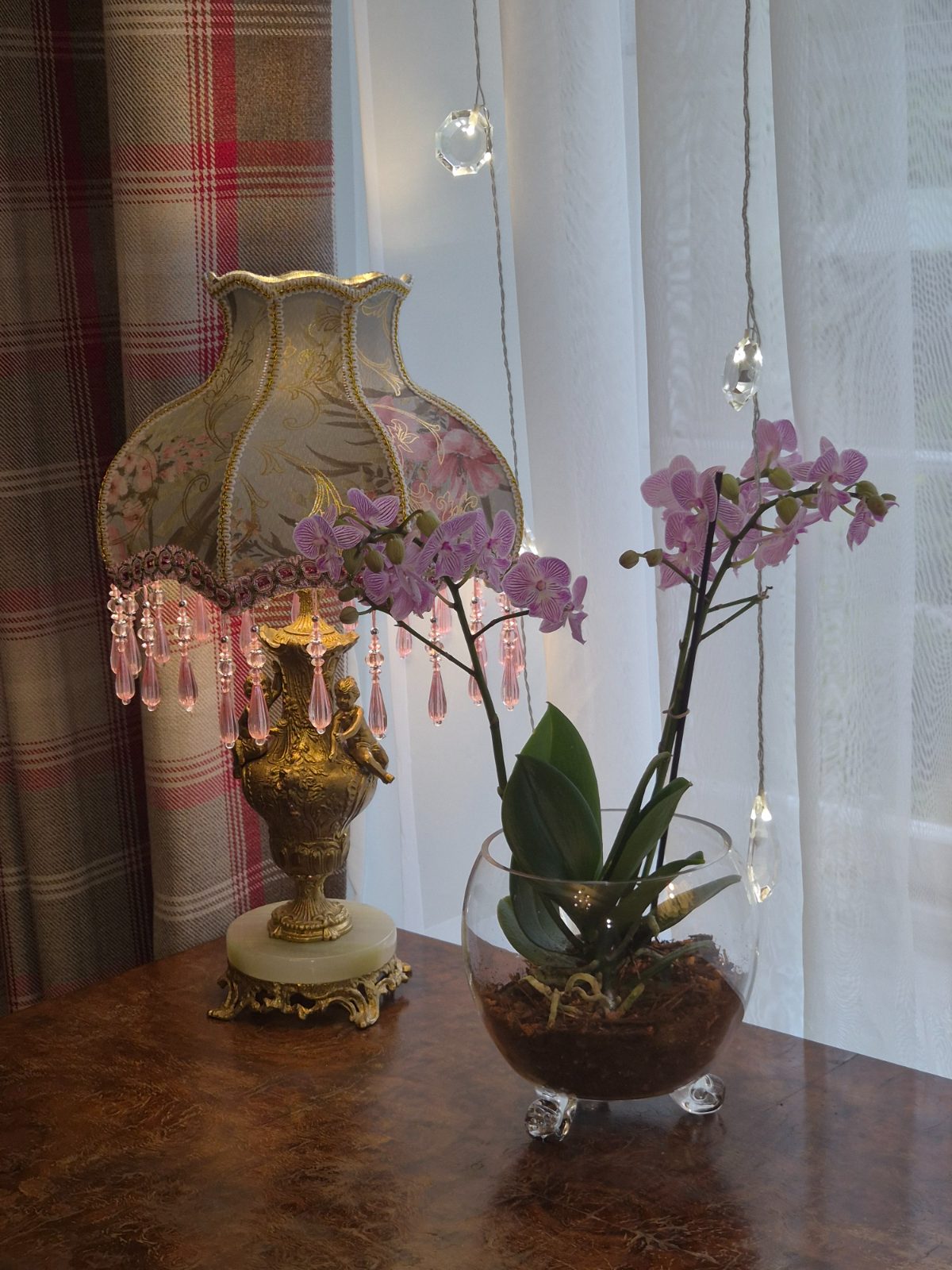 Orchid in a Freyven glass vessel beside a gilded lamp